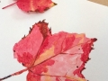leaves-by-Heather